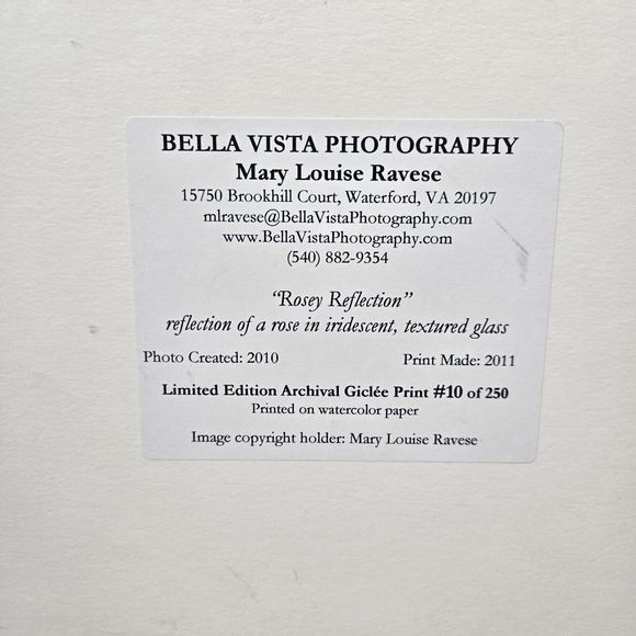 Rosey Reflection Giclée Art Print Rose Flower Mary Louise Ravese Signed Numbered - Picture 14 of 14